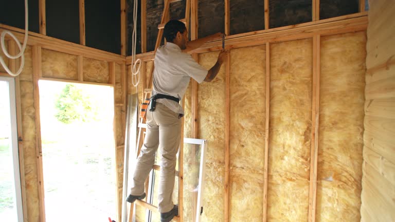 Best Soundproof Insulation  in Huntley, IL