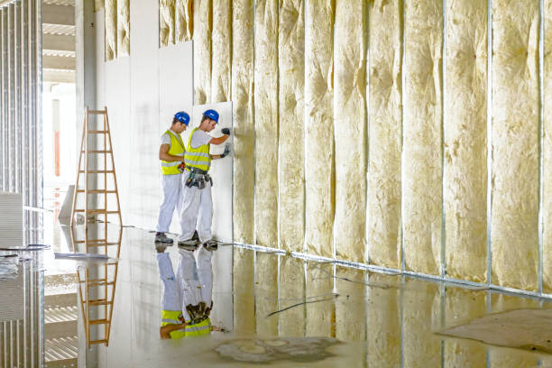 Best Insulation Air Sealing  in Huntley, IL